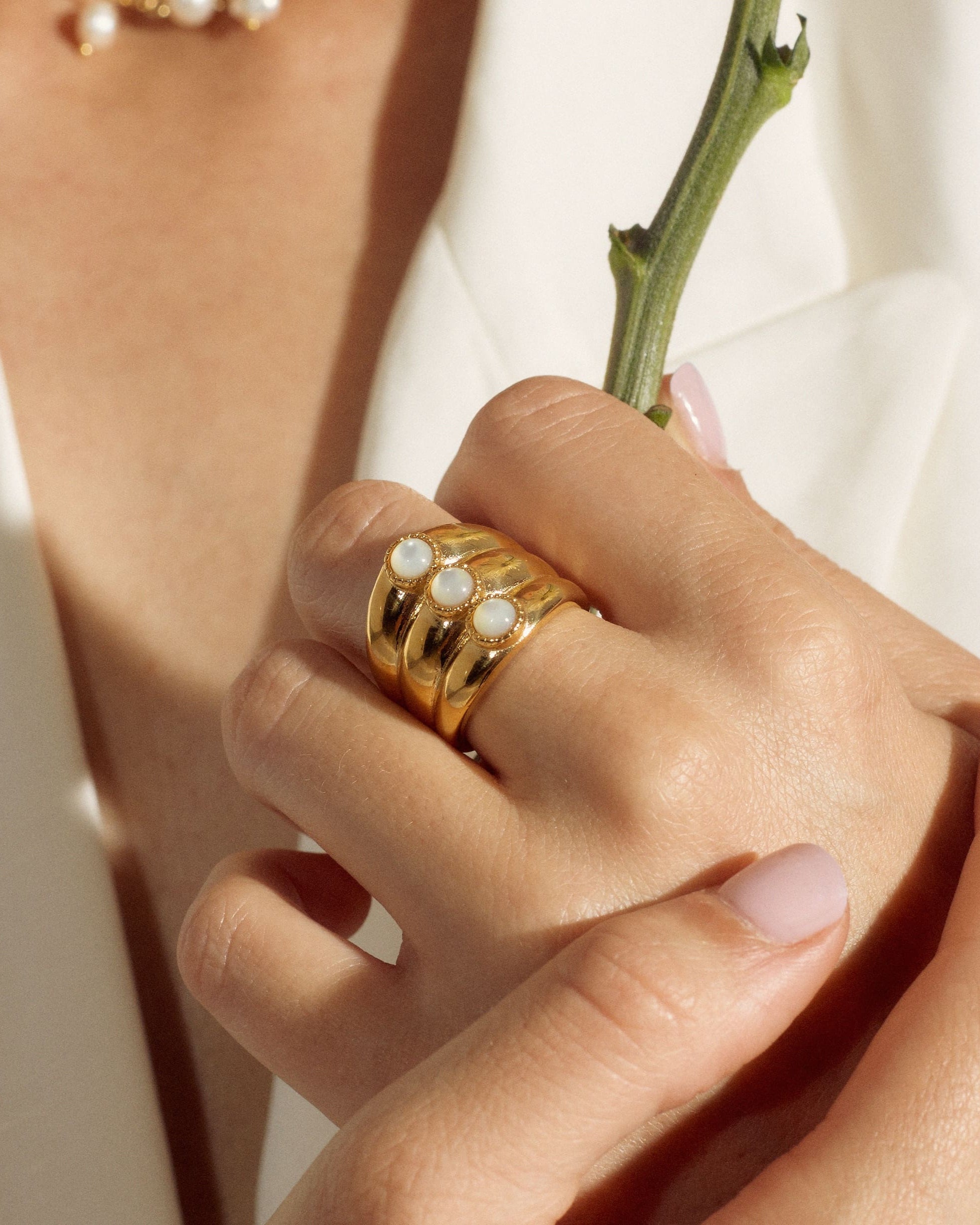 The Shell Ring