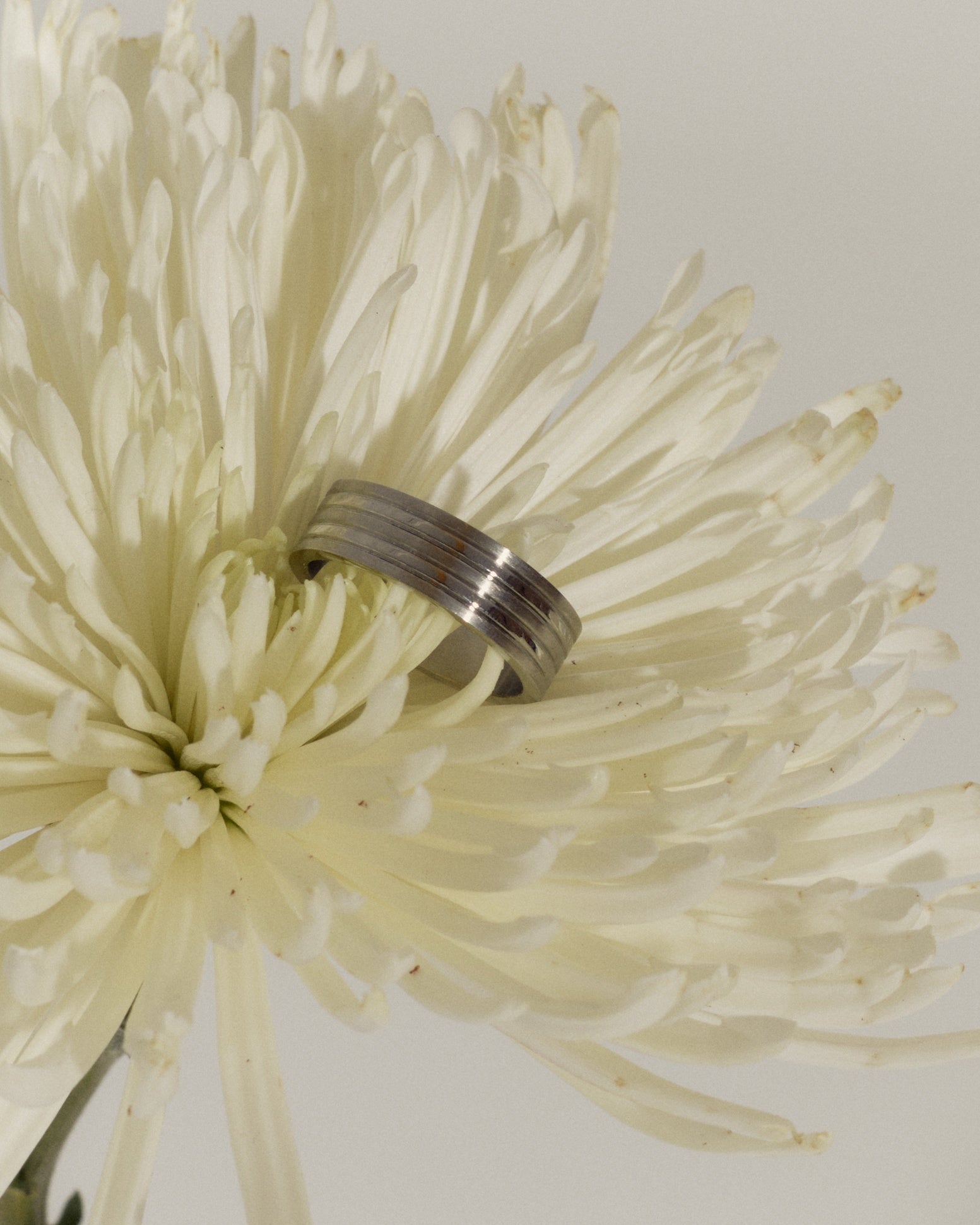 Planet Ring