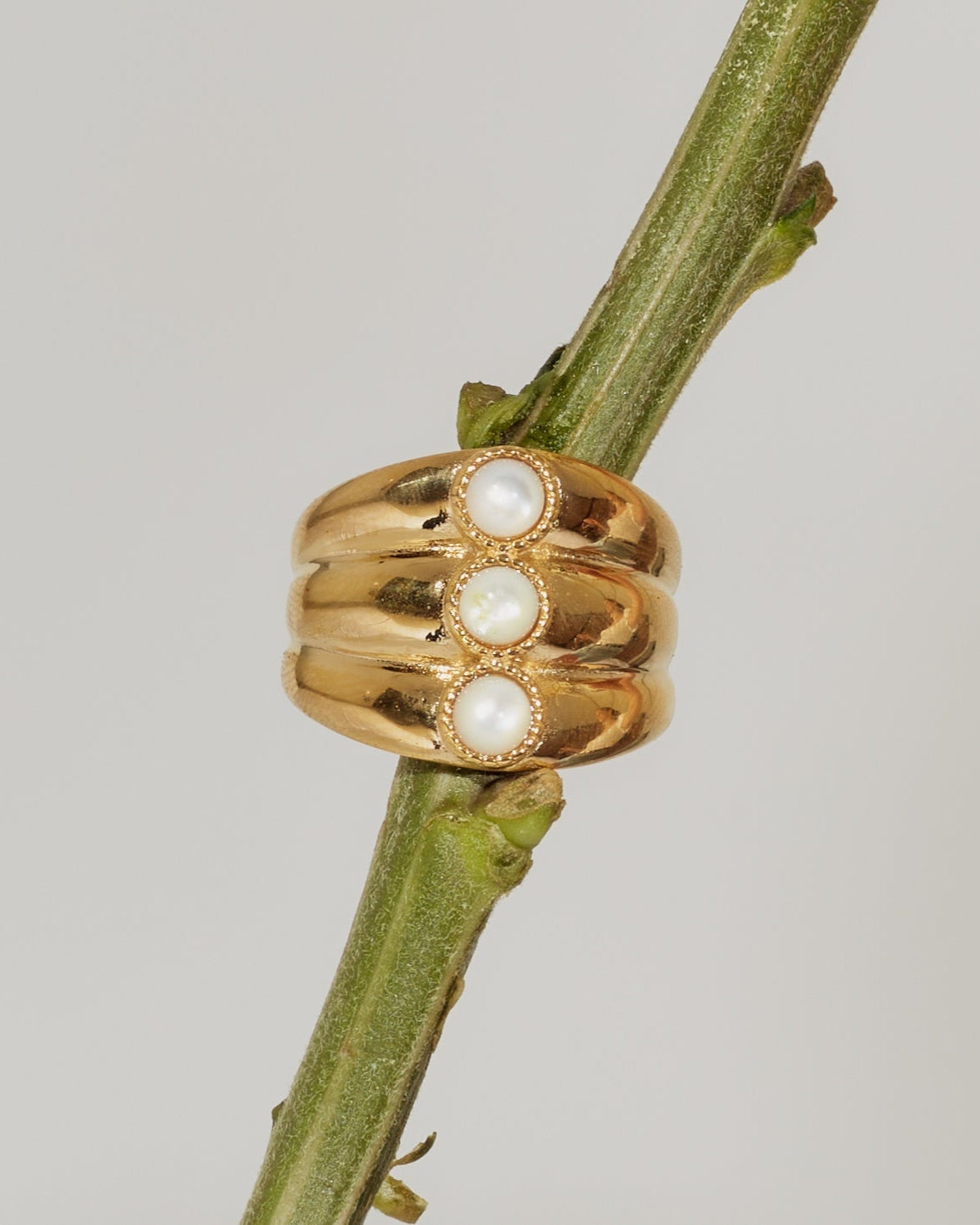 The Shell Ring